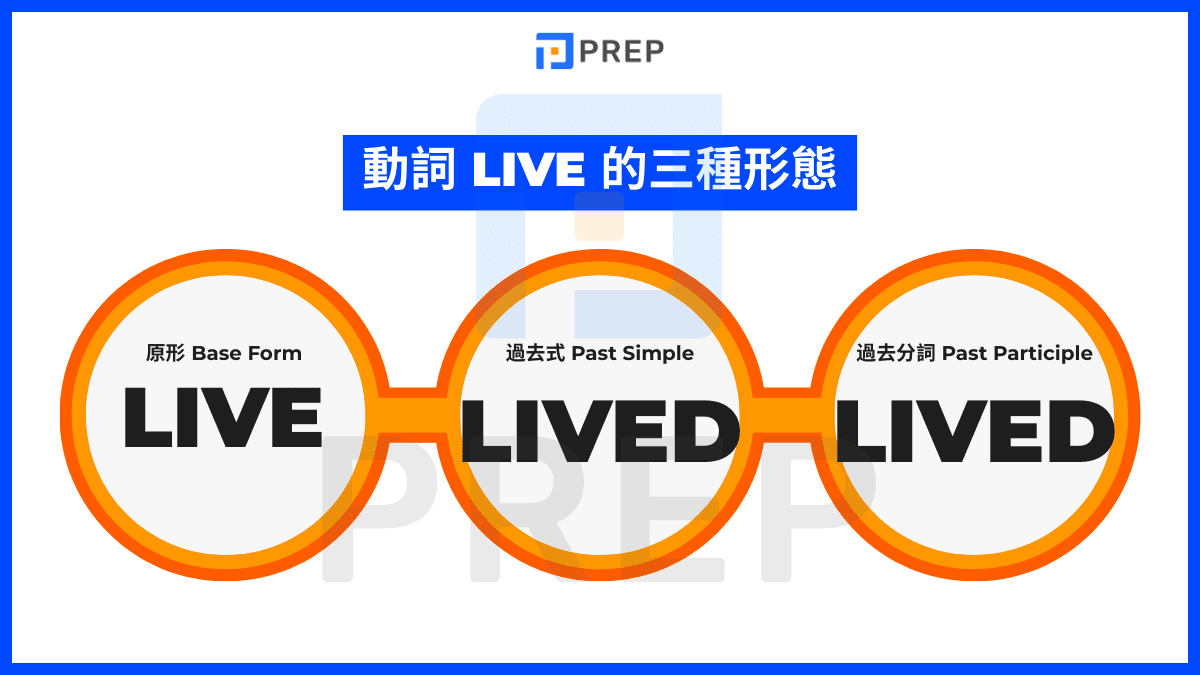 Live 的動詞三態與核心答案