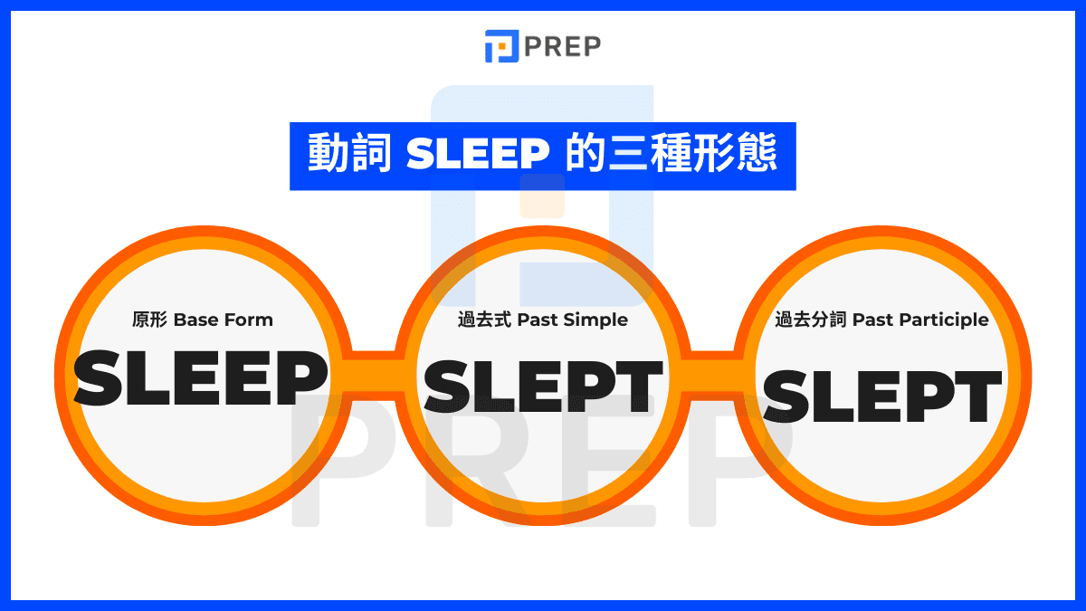 Sleep 的動詞三態與核心答案