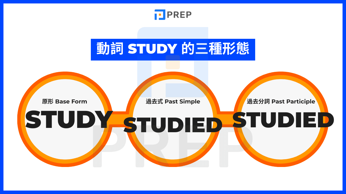 動詞三態快速總覽:Study - studied - studied