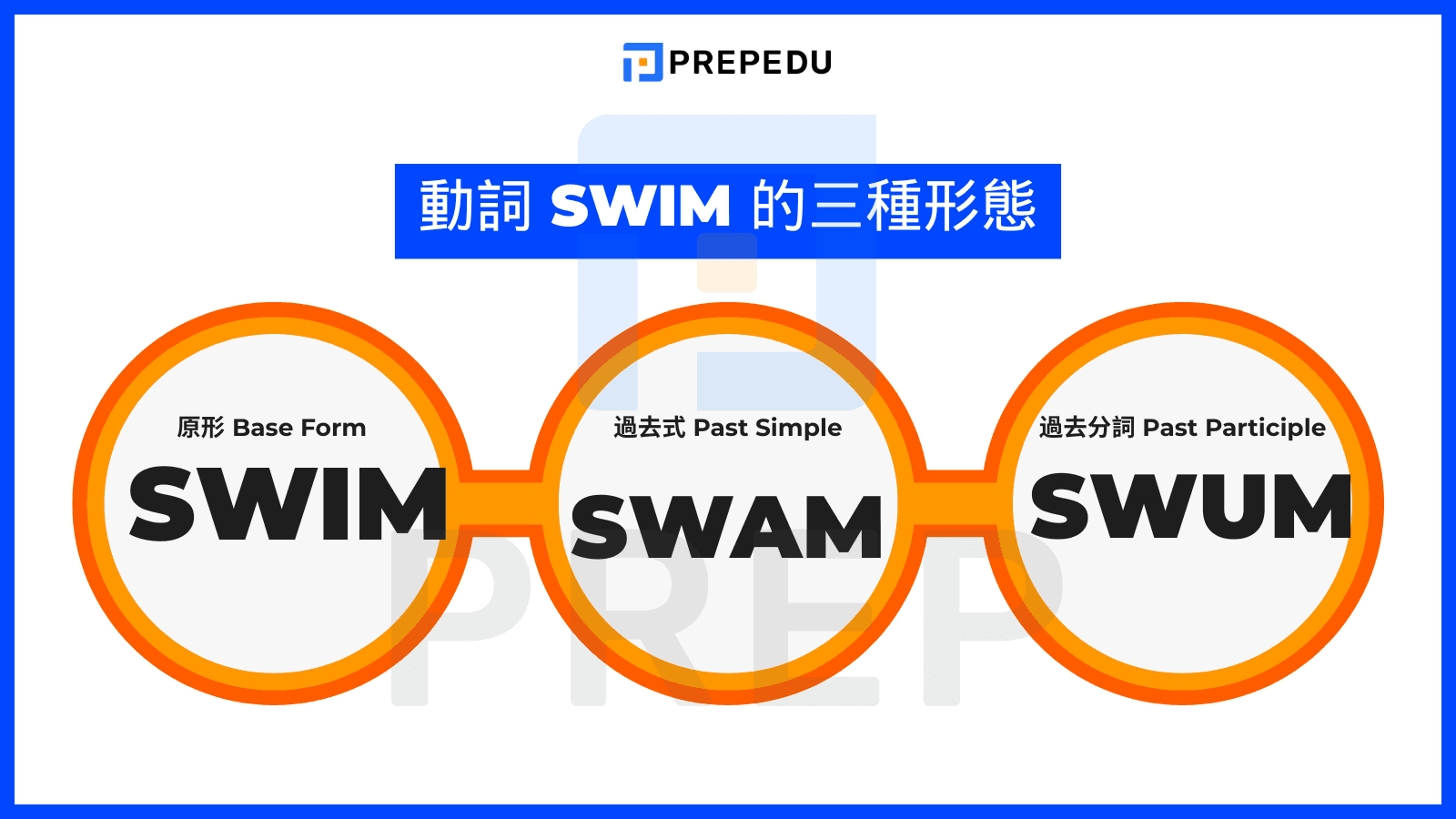 Swim 動詞三態快速預覽：Swim - Swam - Swum