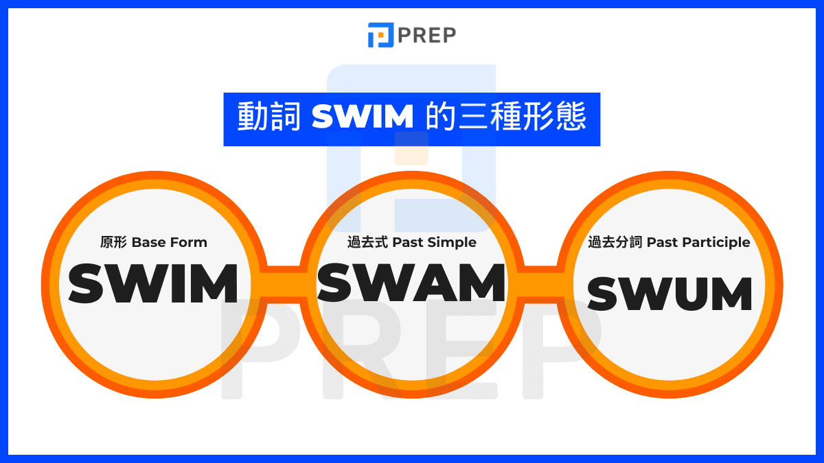 動詞三態快速預覽:Swim - Swam - Swum