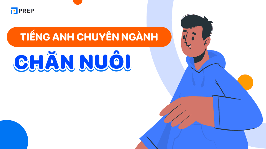 Bỏ túi 365+ từ vựng tiếng Anh chuyên ngành chăn nuôi hữu ích nhất!