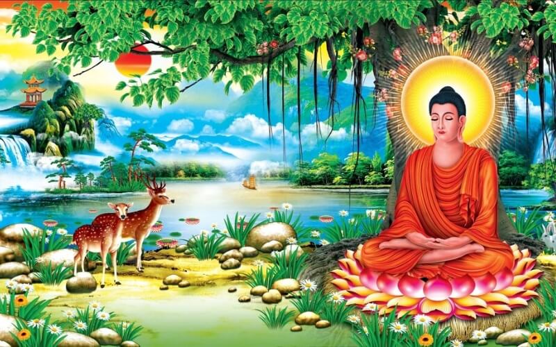 Đức Phật Thích Ca Mâu Ni giác ngộ cạnh cây bồ đề