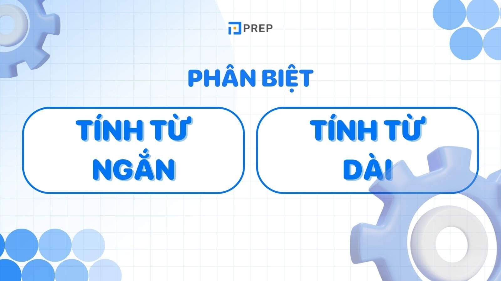 tinh-tu-ngan-va-tinh-tu-dai.jpg