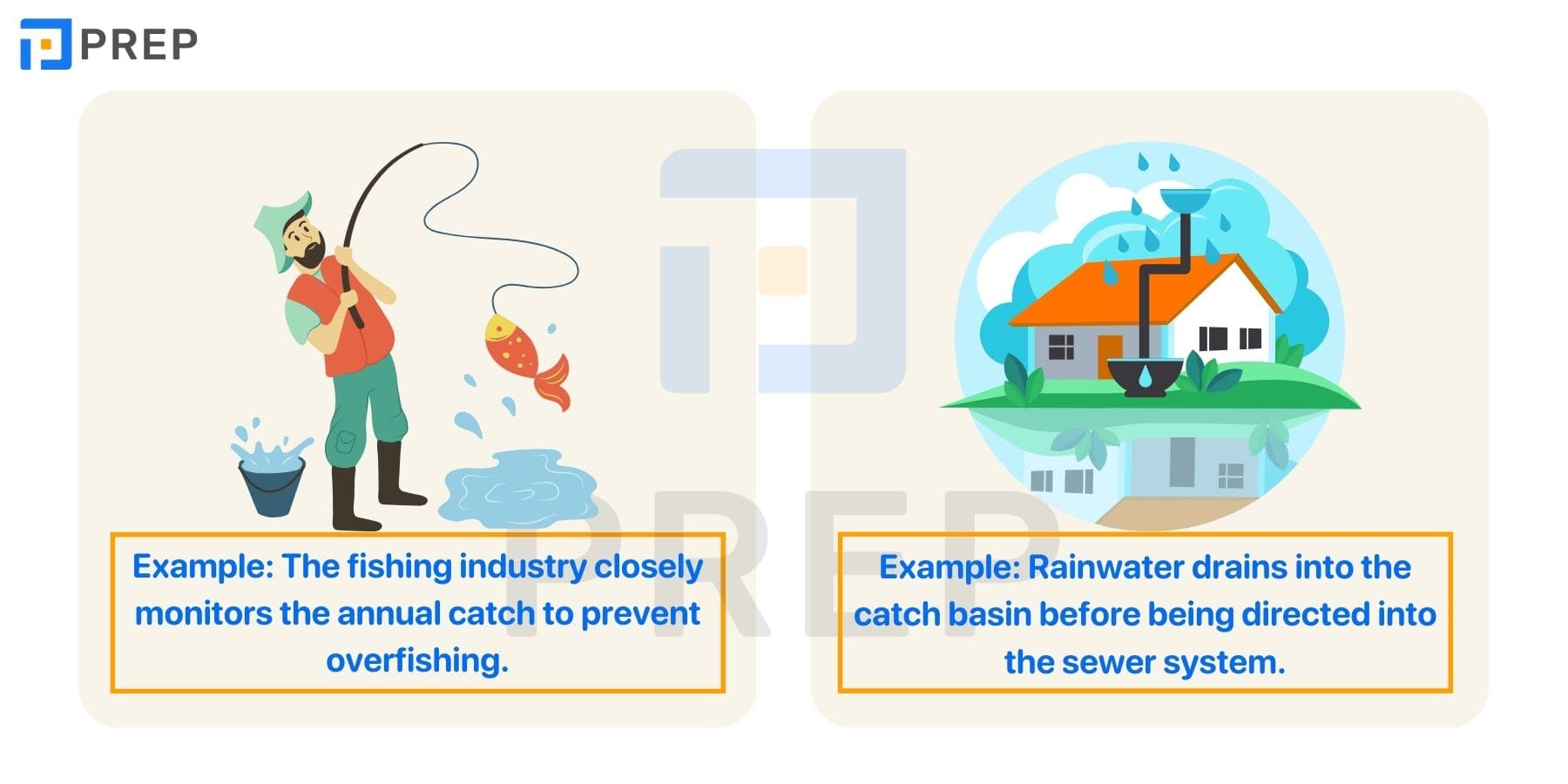 Tổng hợp các collocation với catch phổ biến
