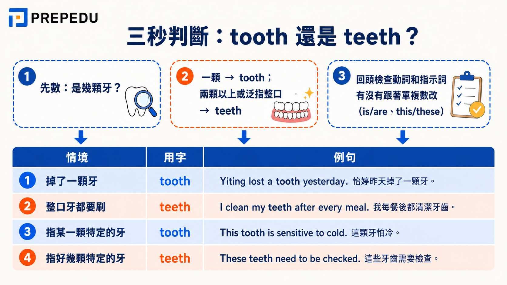tooth-or-teeth-quick-guide.jpg