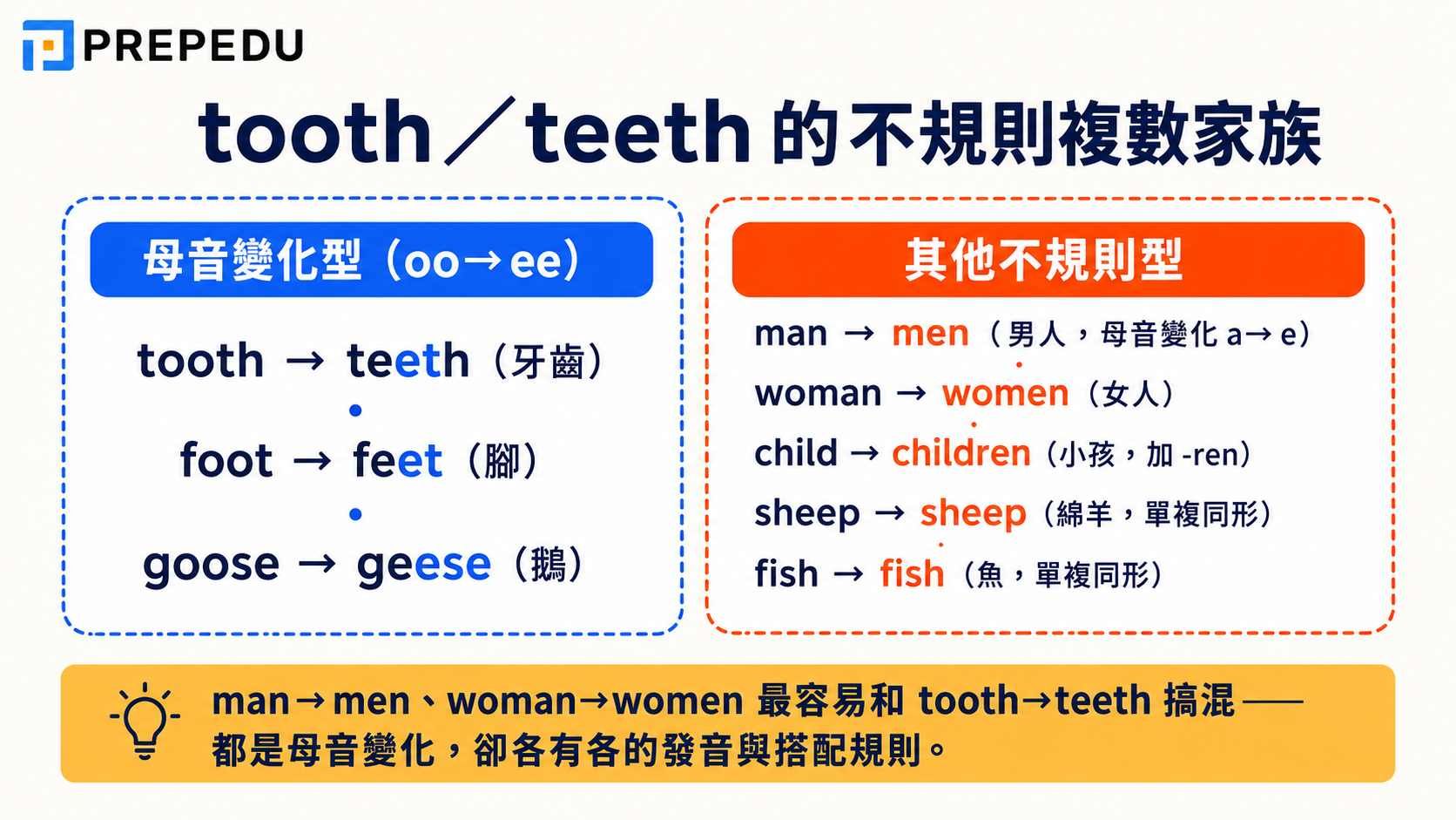tooth-teeth-irregular-plural-family.jpg