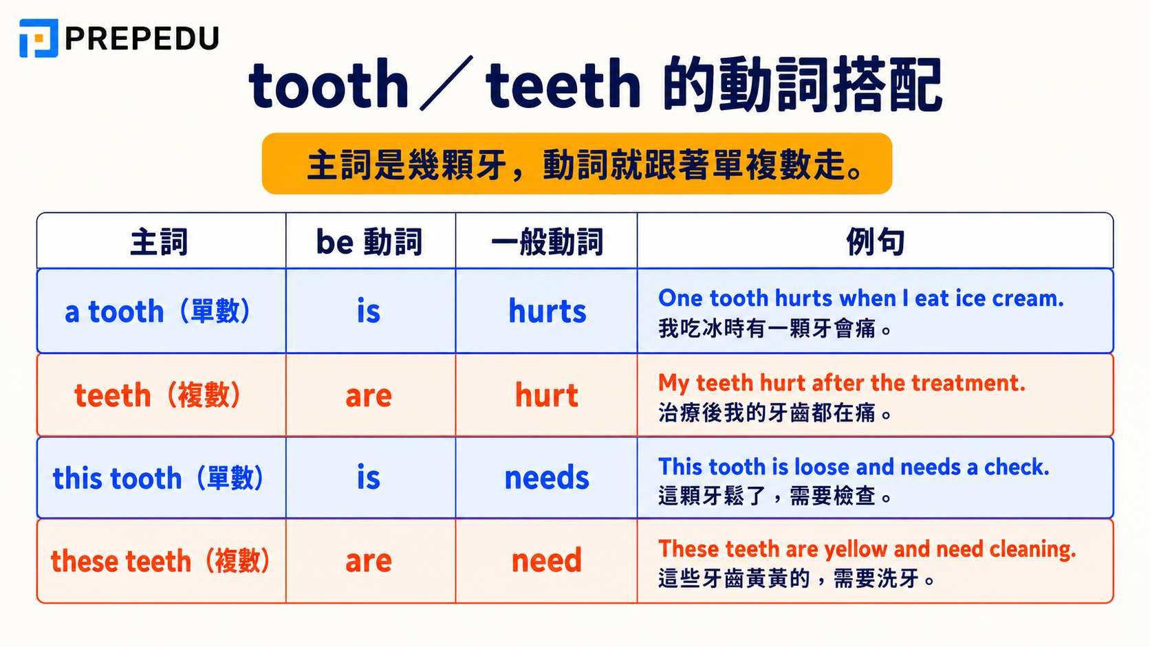 tooth-teeth-verb-agreement.jpg