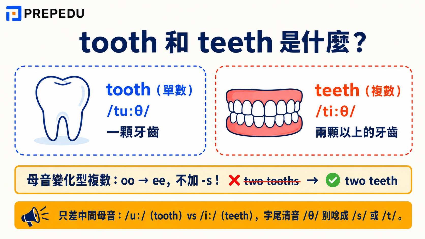 tooth-vs-teeth-meaning-pronunciation.jpg