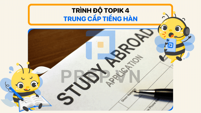 topik 4, topik 4 bao nhiêu điểm