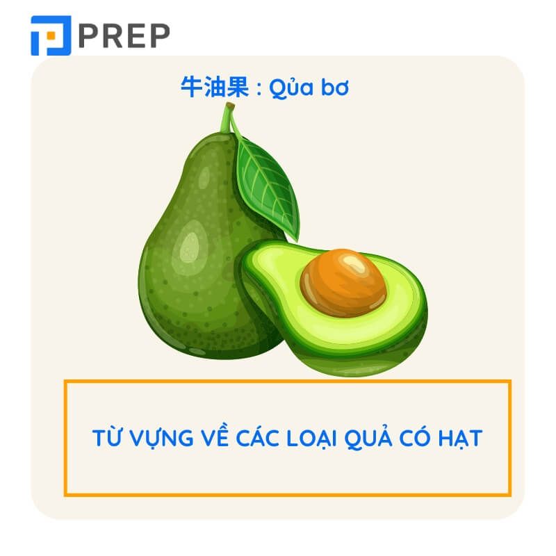 Từ vựng trái cây tiếng Trung - quả có hạt