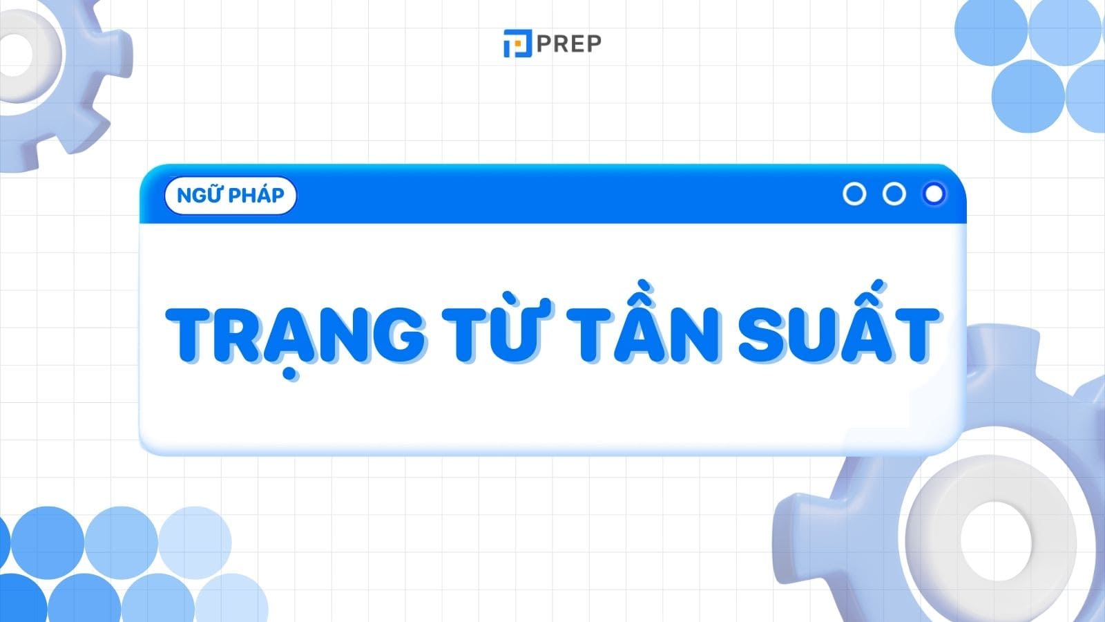 trang-tu-chi-tan-suat-adverbs-of-frequency.jpg