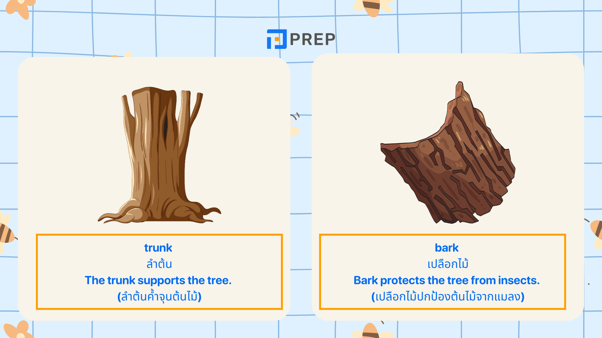 ต้นไม้ภาษาอังกฤษ รวมคำศัพท์น่ารู้ จำง่าย ใช้ได้จริง!