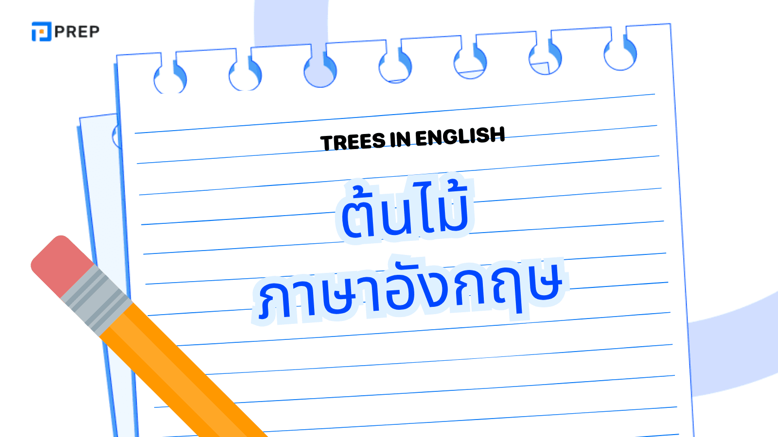 ต้นไม้ภาษาอังกฤษ รวมคำศัพท์น่ารู้ จำง่าย ใช้ได้จริง!