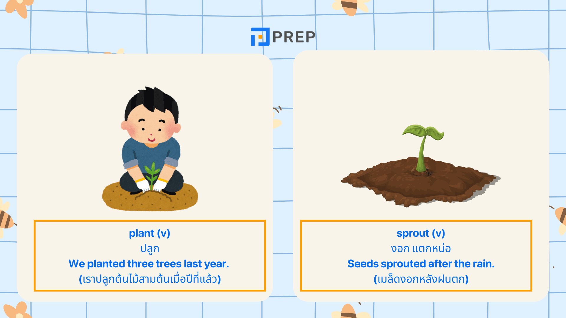 ต้นไม้ภาษาอังกฤษ รวมคำศัพท์น่ารู้ จำง่าย ใช้ได้จริง!