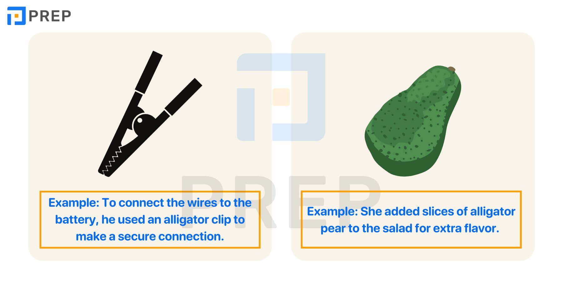 Từ/cụm từ đi kèm với Alligator