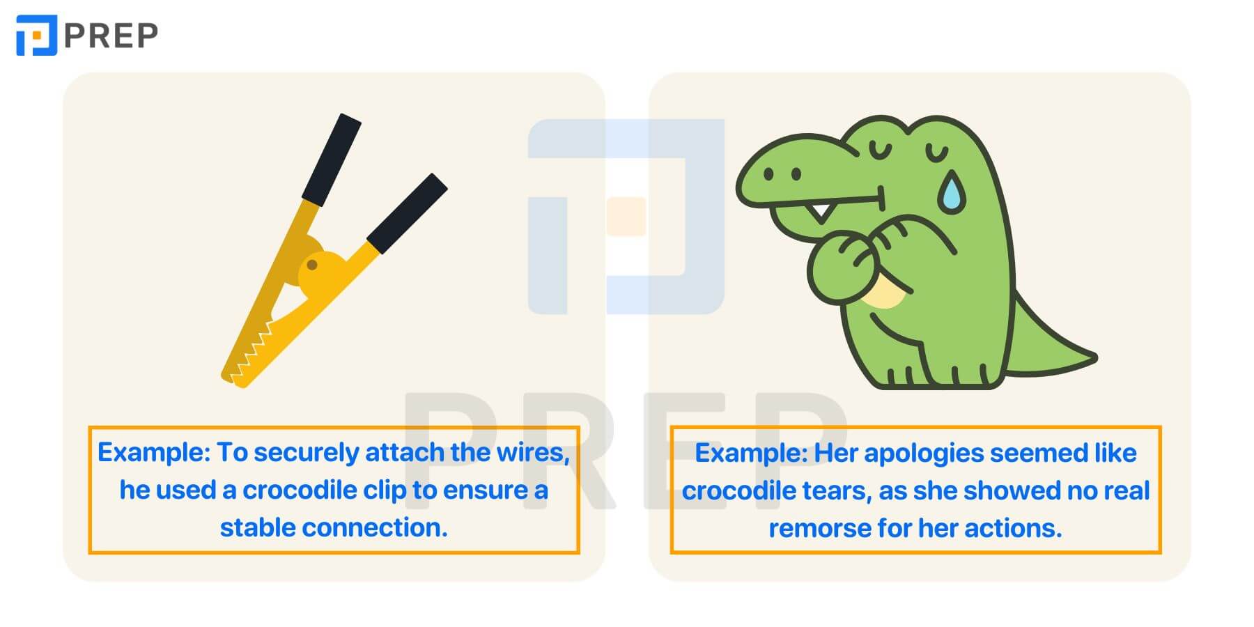 Từ/cụm từ đi kèm với Crocodile