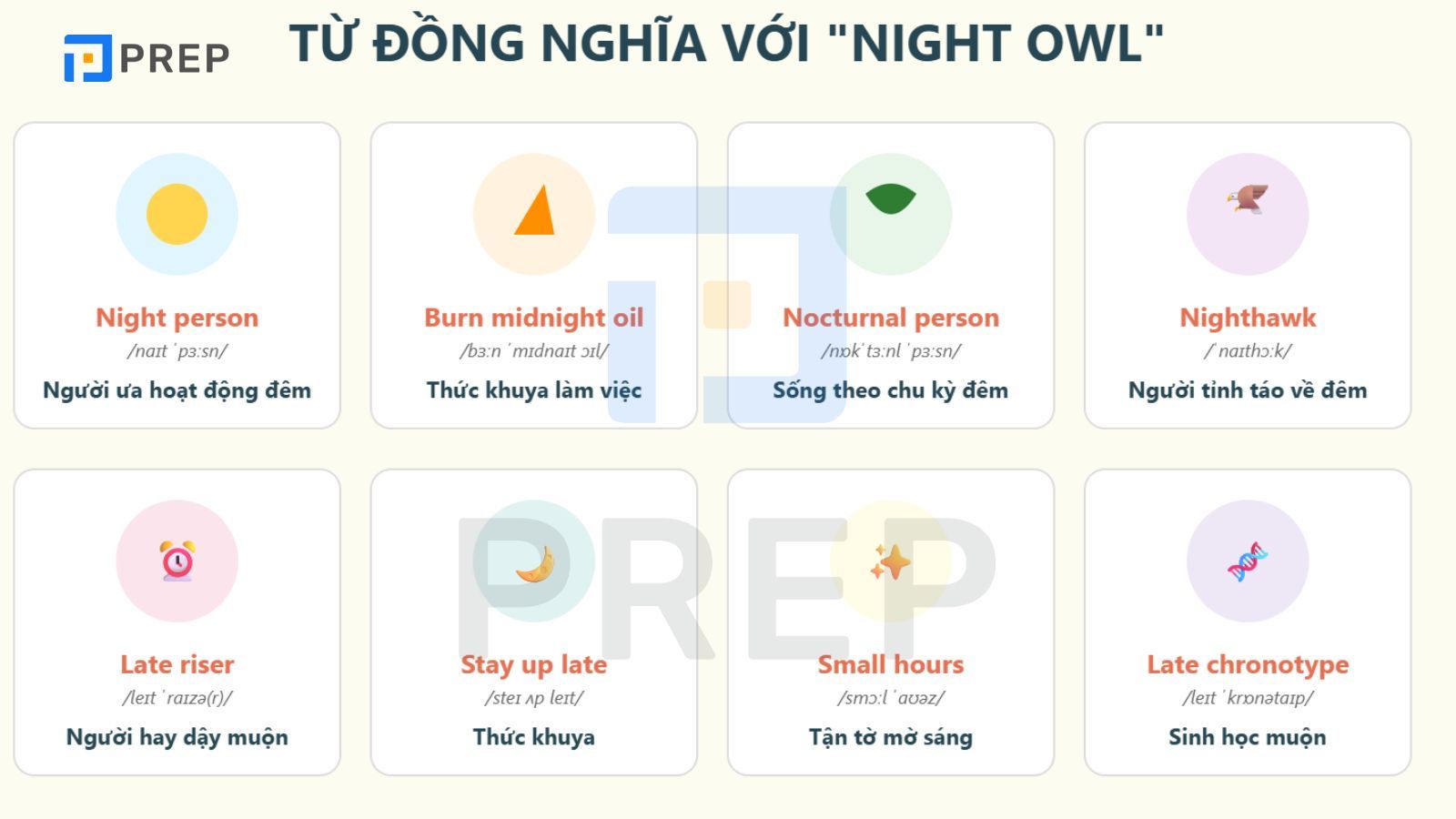 tu-dong-nghia-voi-night-owl.jpg