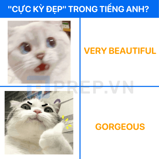 Từ thay thế cho Very beautiful: Gorgeous