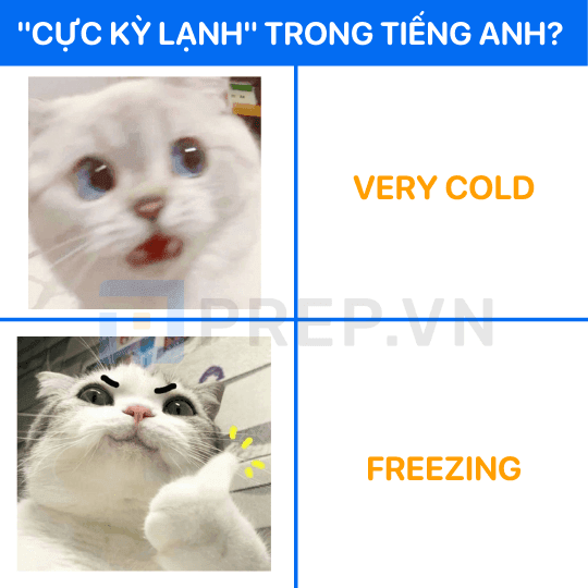 Từ vựng thay thế cho Very cold: Freezing