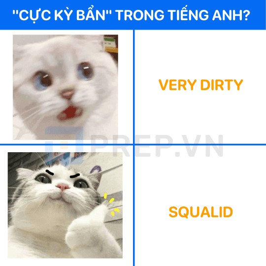 Từ thay thế cho Very dirty: Squalid