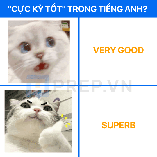 Từ thay thế cho Very good: Superb