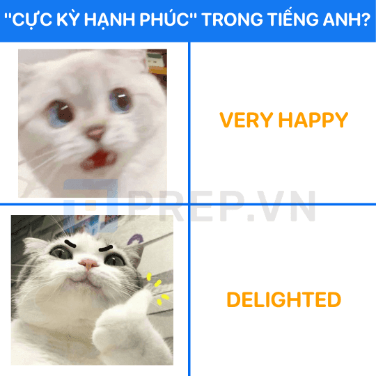 Từ vựng thay thế co Very happy