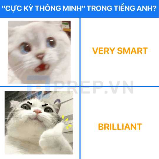 Very smart