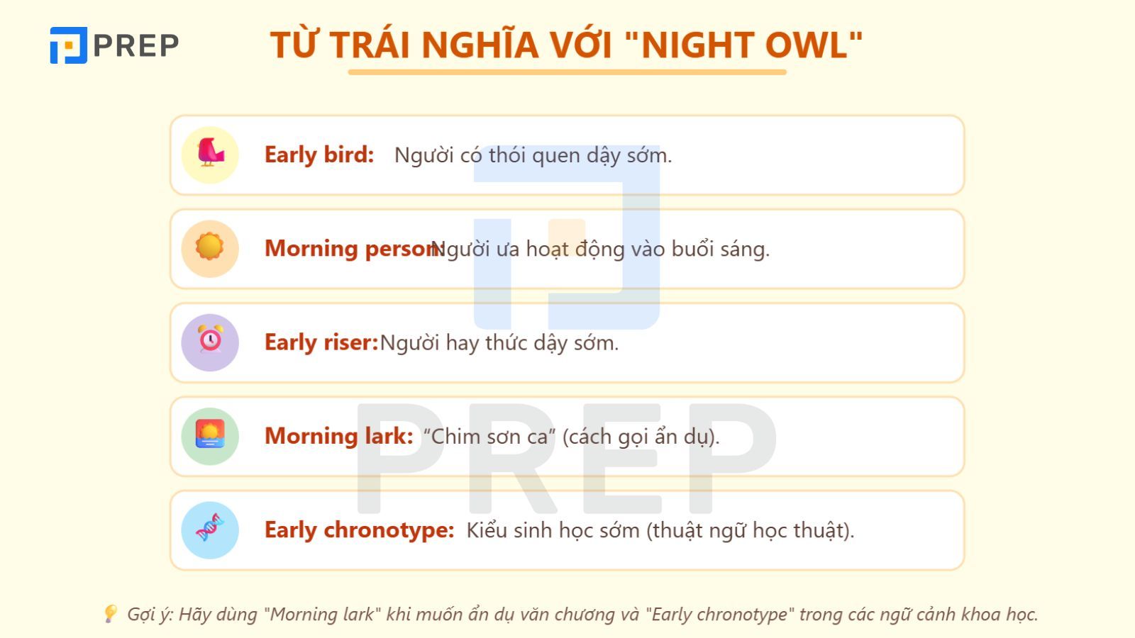 tu-trai-nghia-voi-night-owl.jpg