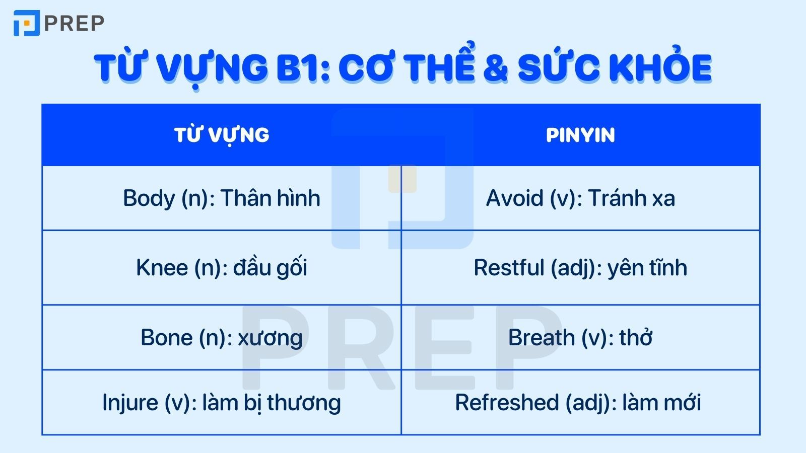 Từ vựng B1 chủ đề cơ thể và sức khỏe
