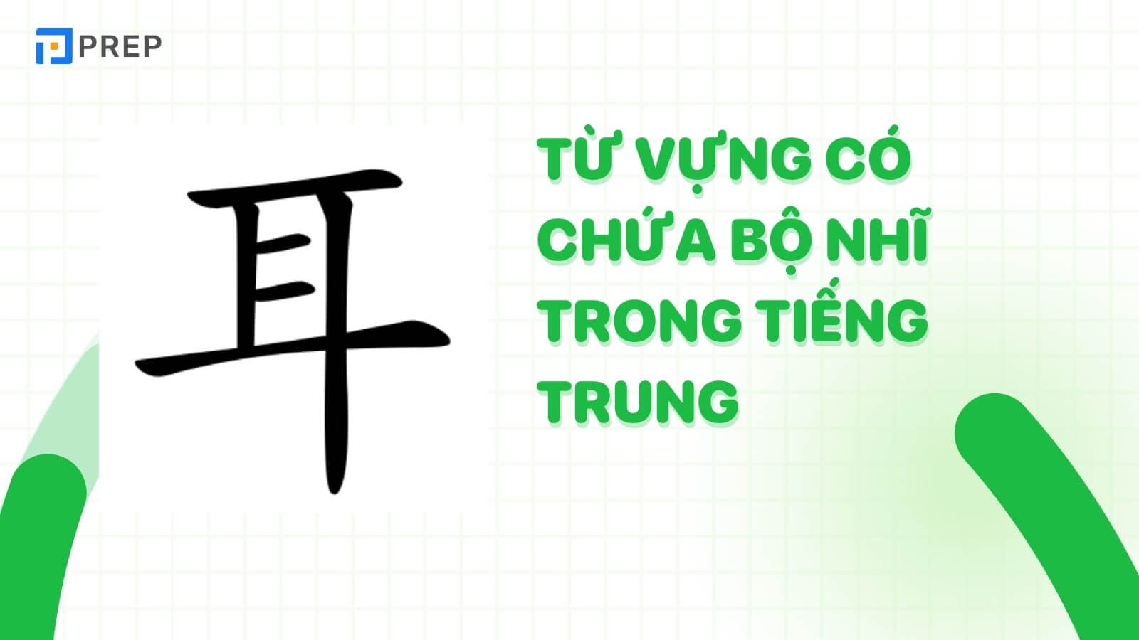 tu-vung-bo-nhi-trong-tieng-trung-tai.jpg