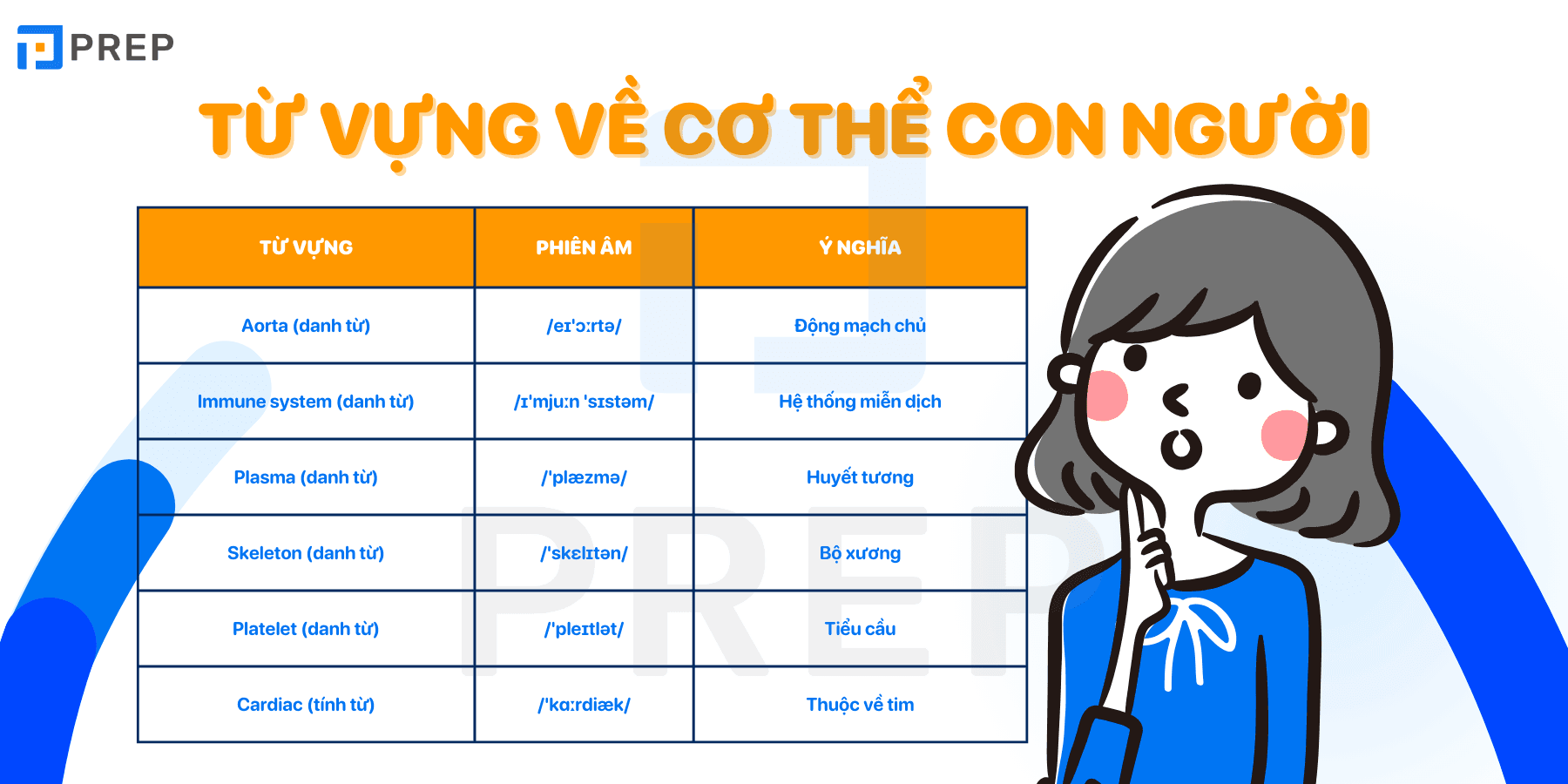 tu-vung-c1-tieng-anh-ve-co-the-con-nguoi.png