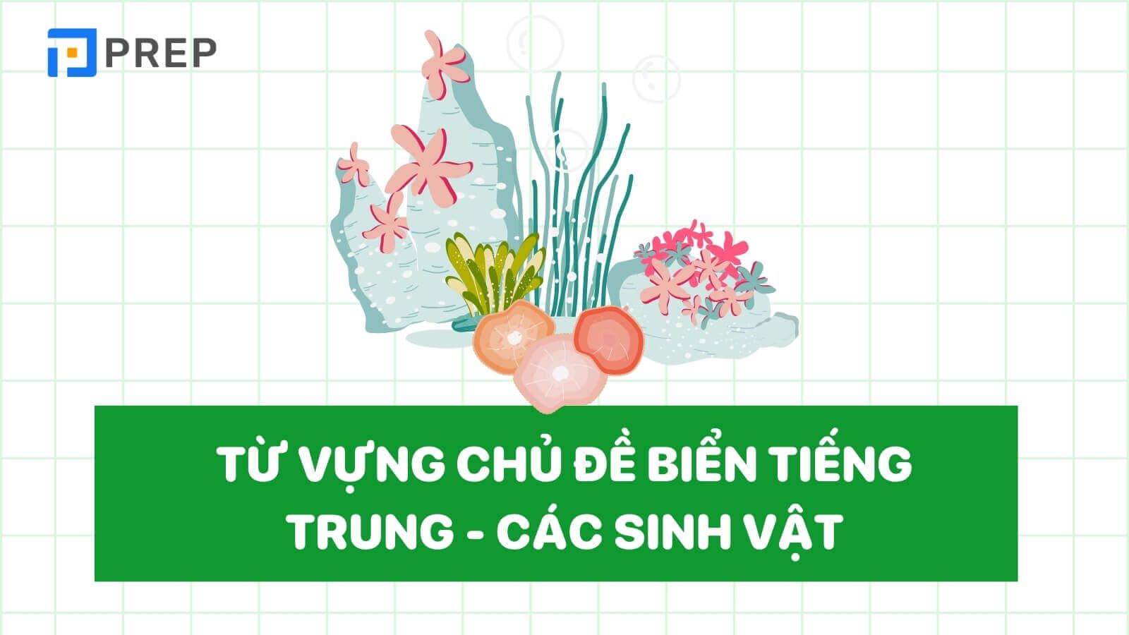 tu-vung-chu-de-bien-tieng-trung-cac-loai-sinh-vat.jpg