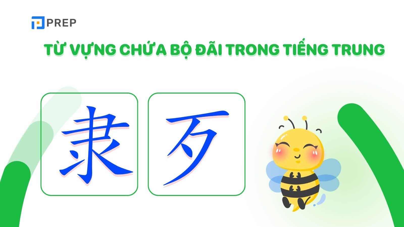 tu-vung-chua-bo-dai-trong-tieng-trung.jpg
