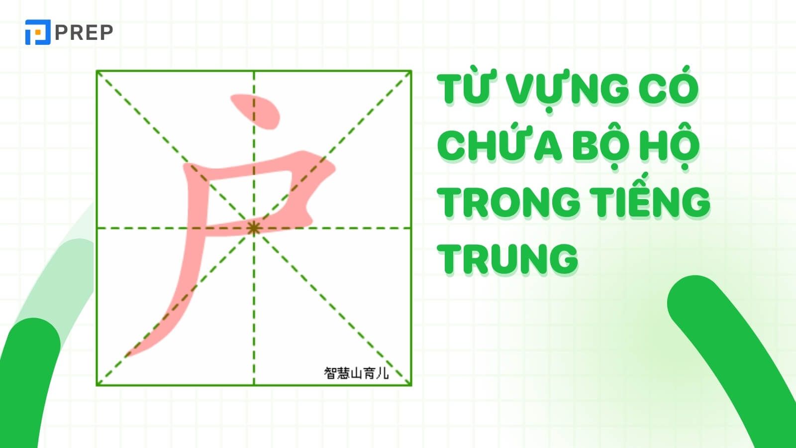 tu-vung-chua- bo-ho-trong-tieng-trung.jpg