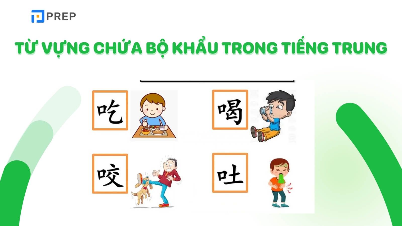 tu-vung-chua-bo-khau-trong-tieng-trung.jpg