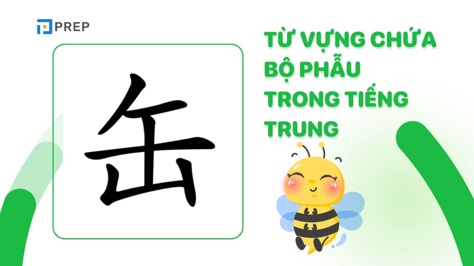 tu-vung-chua-bo-phau-trong-tieng-trung.jpg