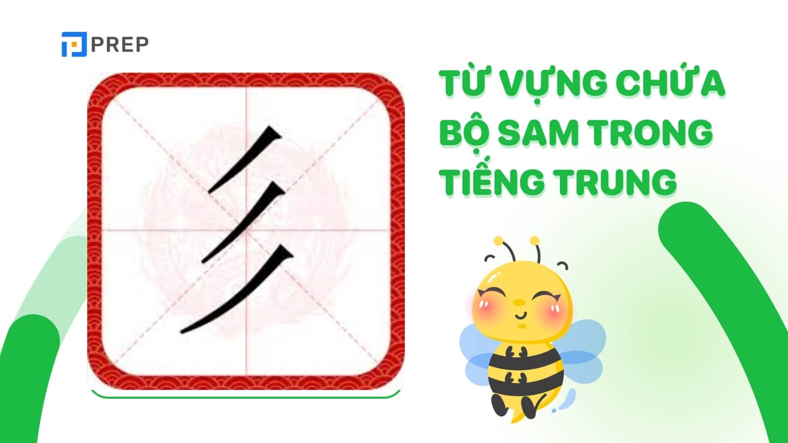 tu-vung-chua-bo-sam-trong-tieng-trung.jpg