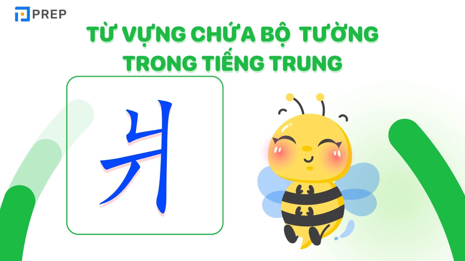 tu-vung-chua-bo-tuong-trong-tieng-trung.jpg