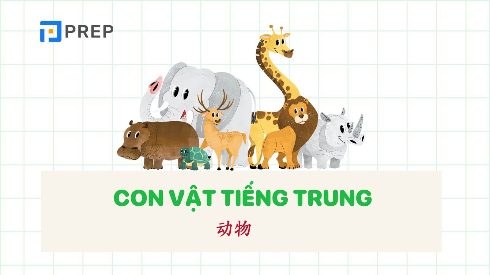 tu-vung-con-vat-tieng-trung.jpg