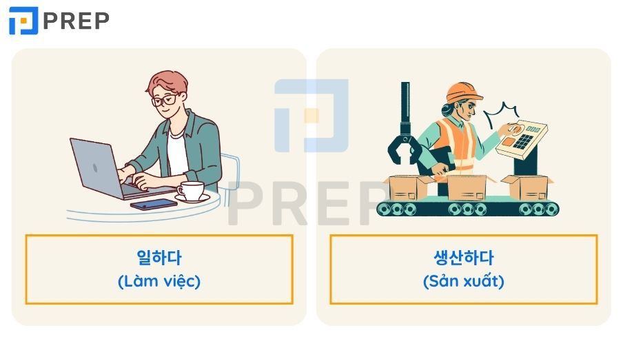 động từ tiếng Hàn