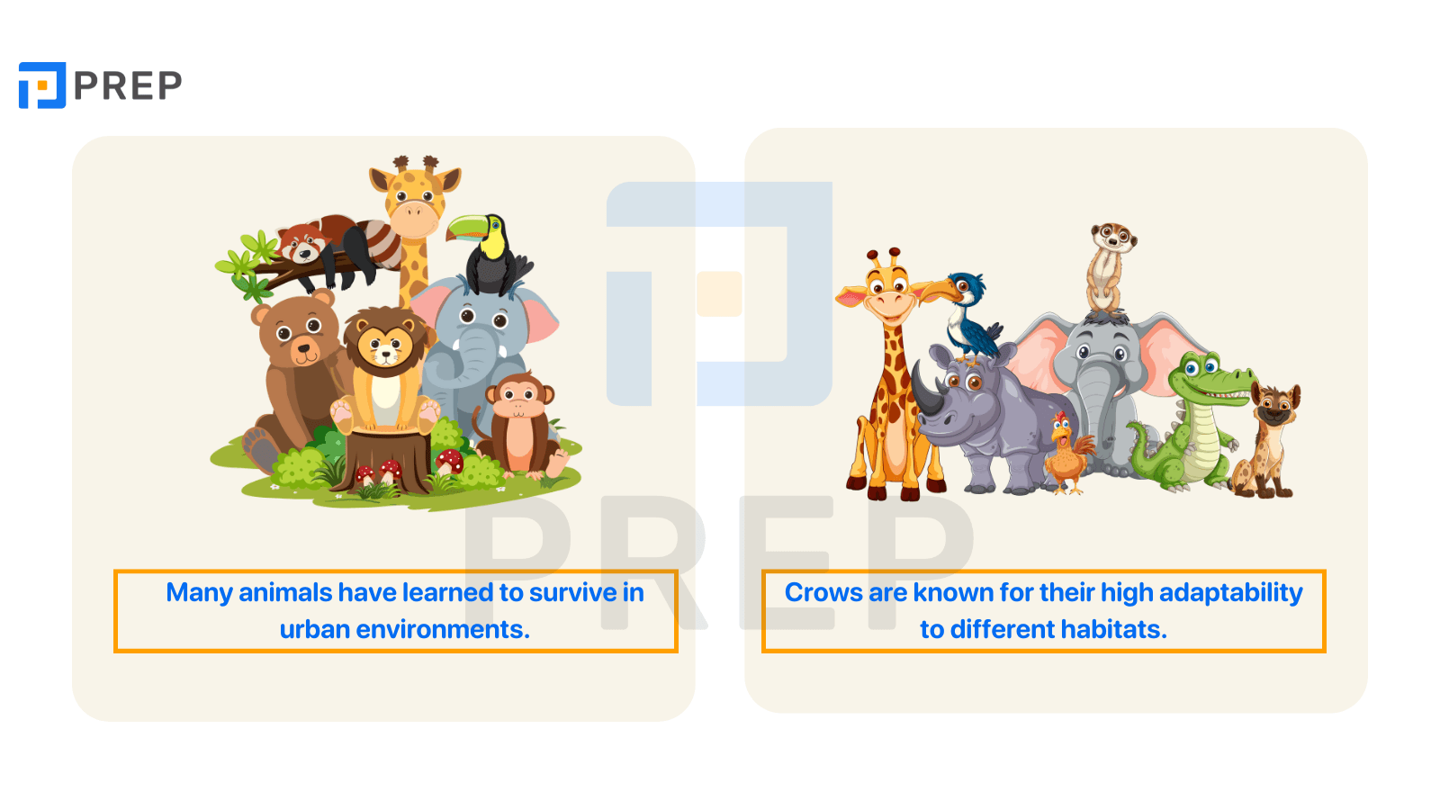 tu-vung-effects-of-urban-environments-on-animals.png