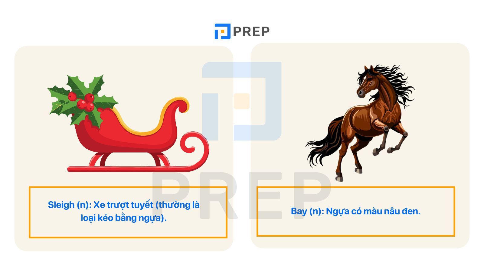 tu-vung-hay.jpg