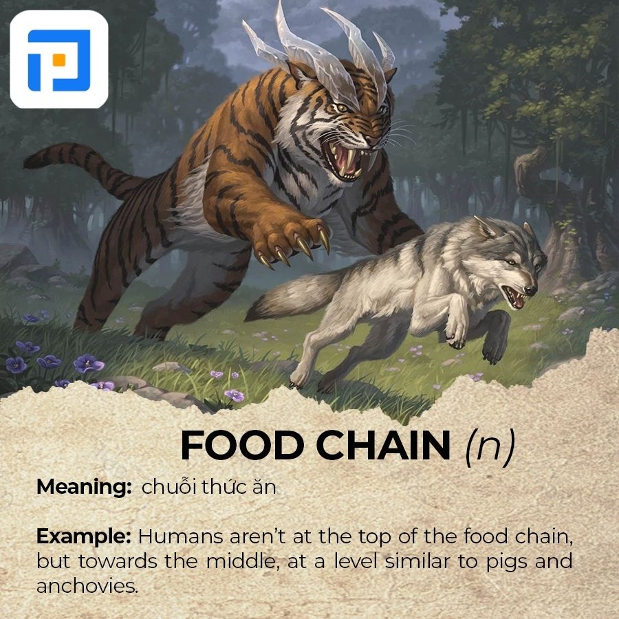 Từ vựng tiếng Anh chủ đề Animals