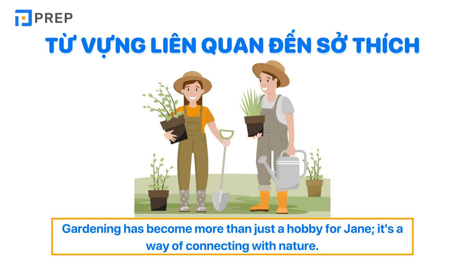 Từ vựng liên quan đến sở thích trong tiếng Anh