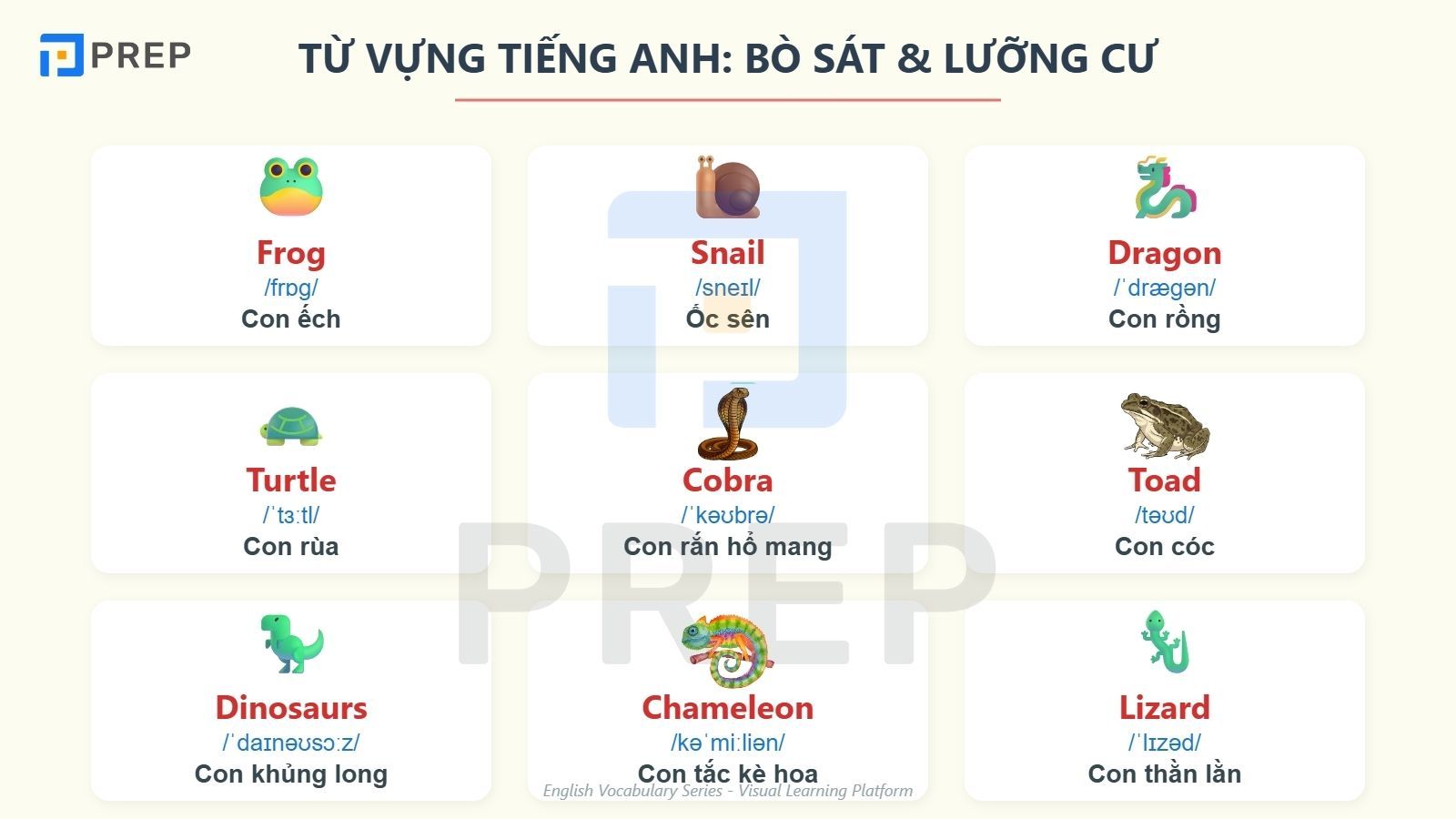 tu-vung-luong-cu.jpg