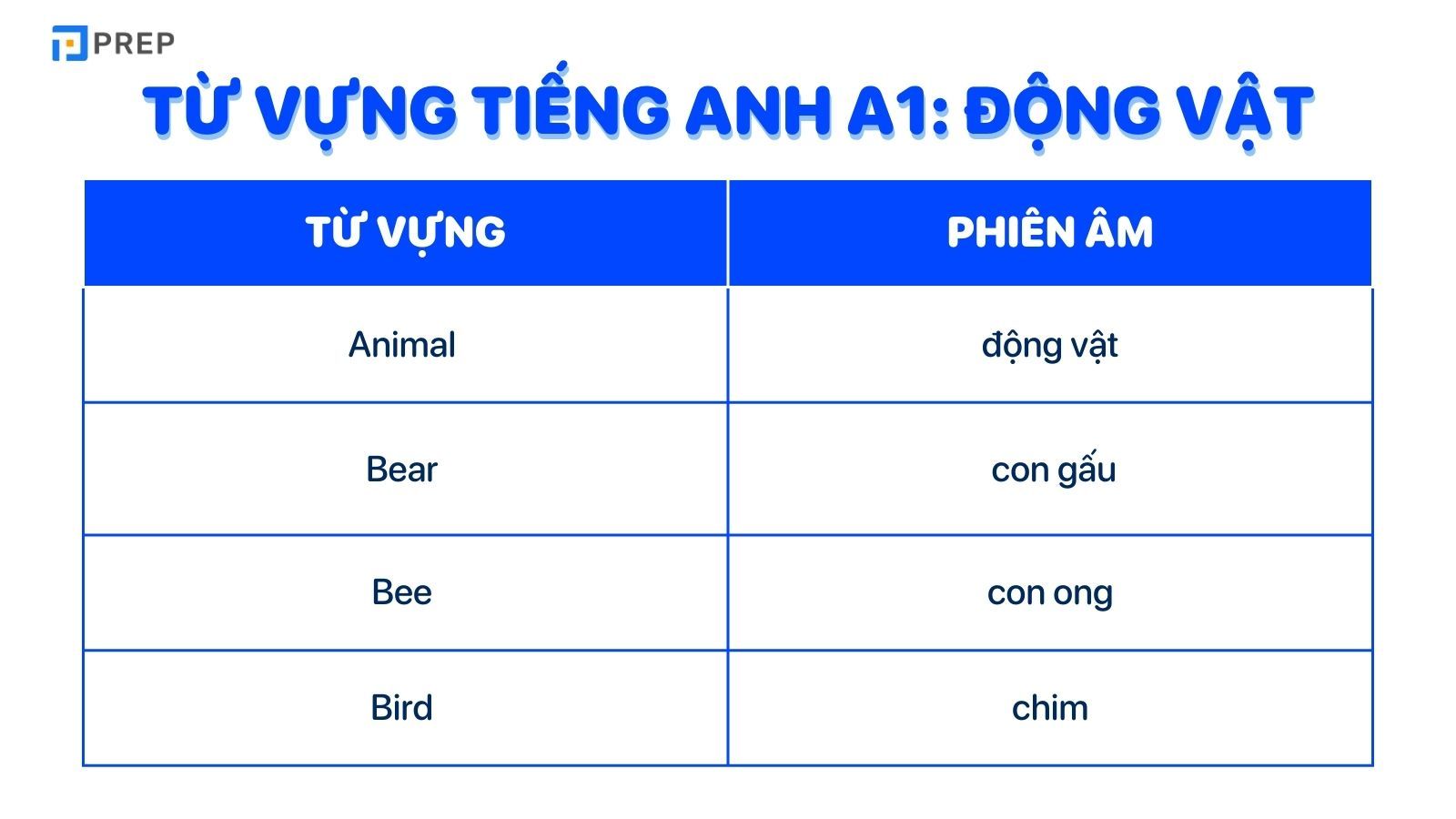 Từ vựng tiếng Anh A1 động vật