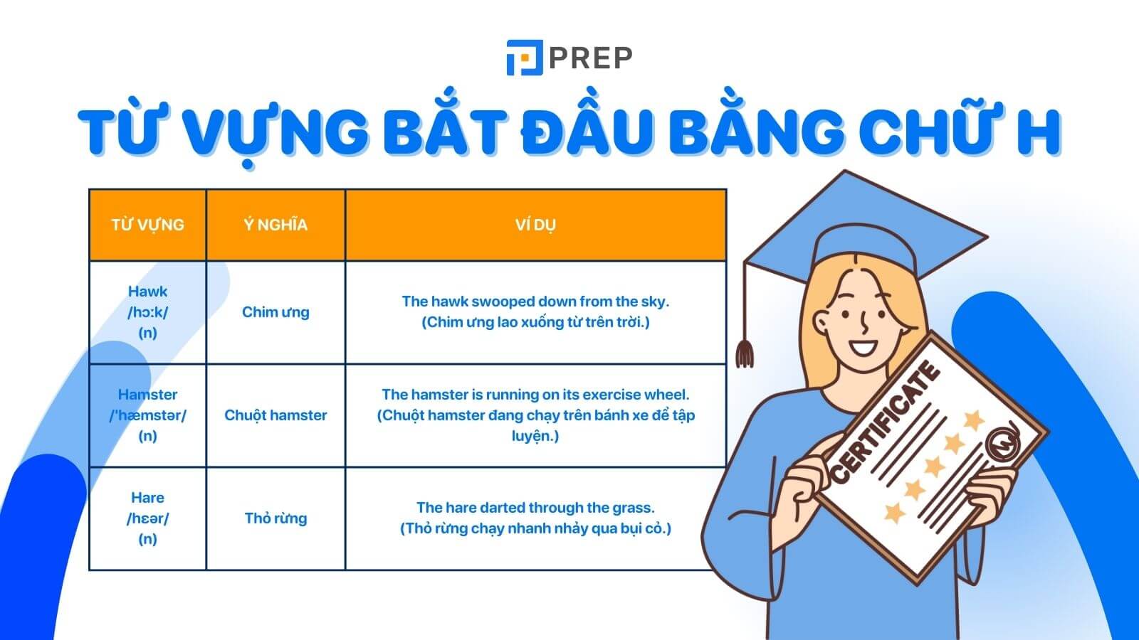 Từ vựng tiếng Anh bắt đầu bằng chữ H