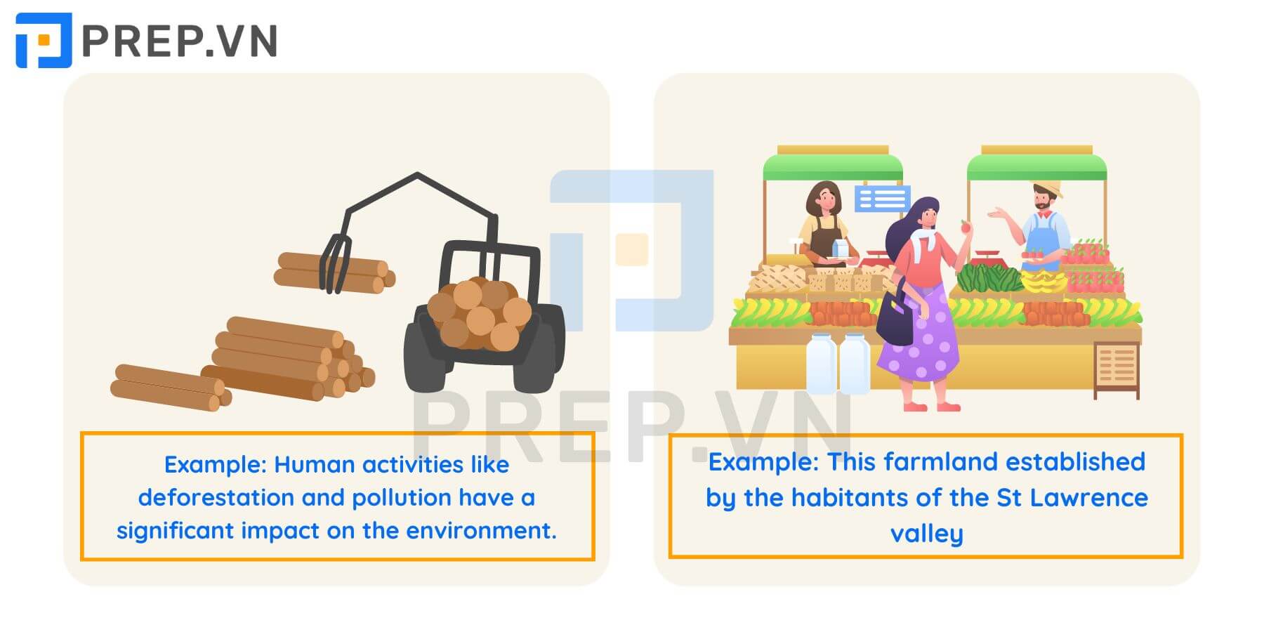 Từ vựng tiếng Anh bắt đầu bằng chữ H: Môi trường (Environment)