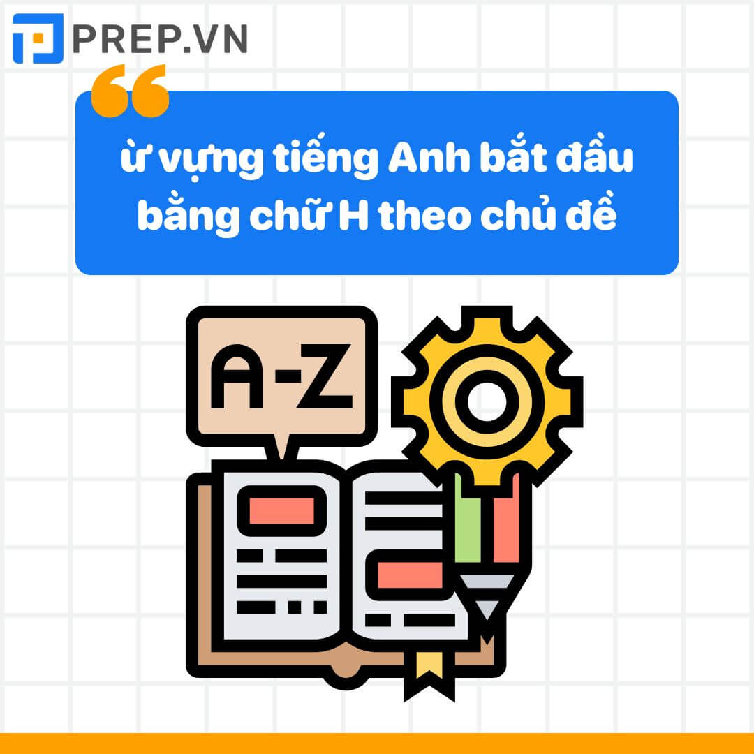Từ vựng tiếng Anh bắt đầu bằng chữ H theo chủ đề